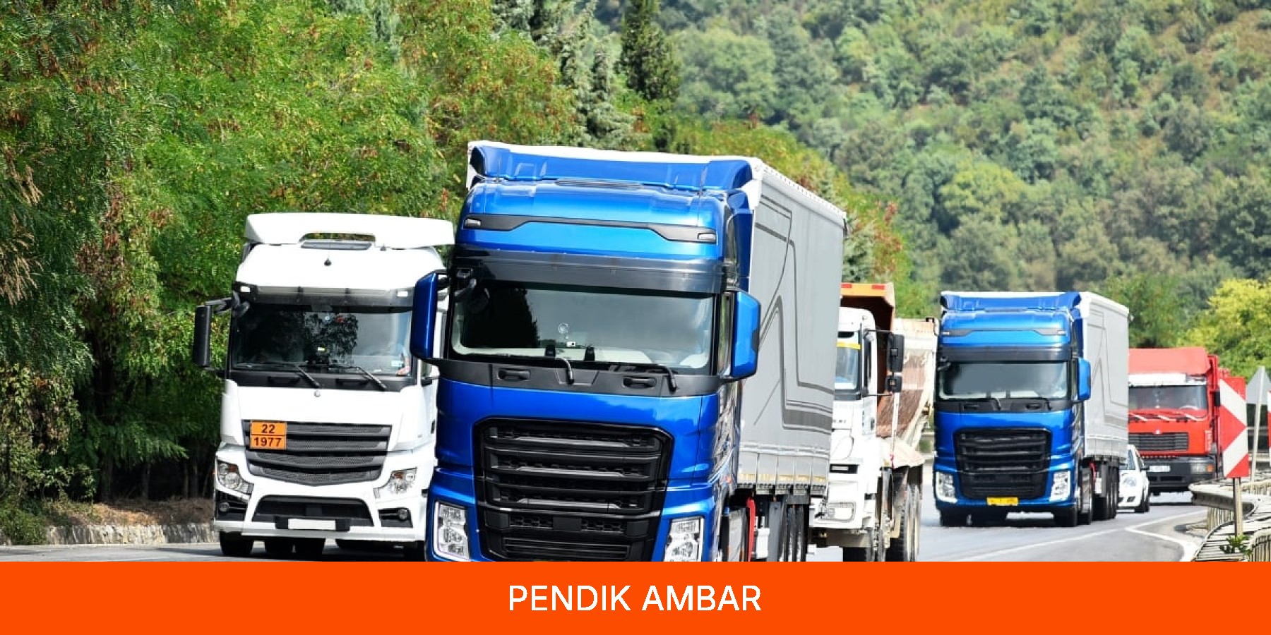 Pendik Ambar